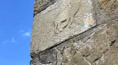 IMG_5135