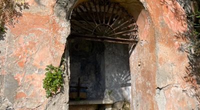 IMG_5547