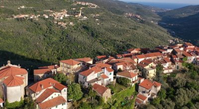 Ordinanza per la Pulizia E Regolare Manutenzione Dei Terreni per la Prevenzione Incendi